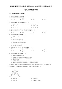 湖南省衡阳市八中教育集团2024-2025学年上学期12月月考八年级 数学试卷（含解析）