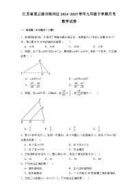 江苏省连云港市海州区2024-2025学年九年级下学期月考 数学试卷（含解析）