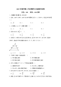 江苏省盐城市东台市2024-2025学年九年级下学期3月月考 数学试题