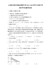 山东省日照市东港区新营中学2024-2025学年七年级下学期开学考试 数学试卷（含解析）
