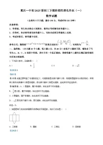 重庆市第一中学校2024-2025学年九年级下学期第一次月考 数学试题（含解析）