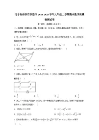 辽宁省丹东市东港市2024-2025学年九年级上册期末数学质量检测试卷（附答案）