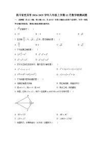 四川省宜宾市2024-2025学年八年级上册12月数学检测试题（附答案）
