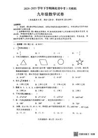 湖北荆州2024-2025学年九年级下学期3月月考数学试题（含答案）
