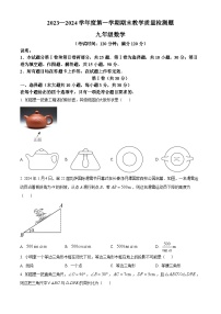 山东省青岛市胶州市2023-2024学年九年级上学期期末数学试题（解析版）