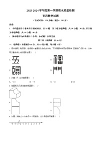 山东省青岛市莱西市2023-2024学年九年级上学期期末数学试题（解析版）