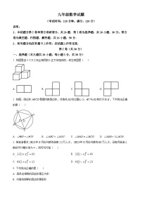 山东省青岛市崂山区2023-2024学年九年级上学期期末数学试题（解析版）
