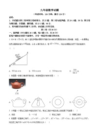山东省青岛市李沧区2023-2024学年九年级上学期期末数学试题（解析版）