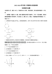 山东省淄博市临淄区2023-2024学年九年级上学期期末数学试题（解析版）