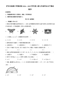 四川省泸州市纳溪区纳溪中学集团校联考2024-2025学年九年级上学期1月期末数学试题（原卷版+解析版）