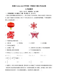 江西省赣州市龙南市2024-2025学年九年级上学期1月期末数学试题（原卷版+解析版）