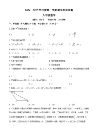 广东省茂名市电白区2024-2025学年上学期期末质量监测八年级数学试卷（原卷版+解析版）