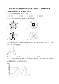 2024-2025学年安徽省亳州市利辛县八年级（上）期末数学试卷 （含详解）