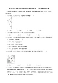 2024-2025学年河北省邯郸市馆陶县九年级（上）期末数学试卷