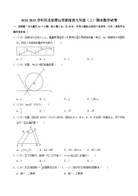 2024-2025学年河北省唐山市滦南县九年级（上）期末数学试卷 （含详解）
