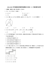 2024-2025学年湖南省常德市临澧县九年级（上）期末数学试卷（含详解）