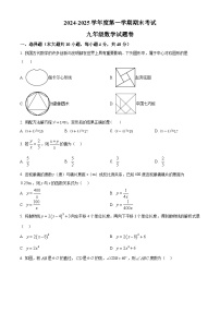 安徽省阜阳市颍州区2024-2025学年九年级上学期1月期末考试数学试题（原卷版+解析版）