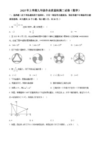 湖南省 长沙市雅礼中学教育集团2024—2025学年下学期九年级数学3月检测卷（原卷版+解析版）