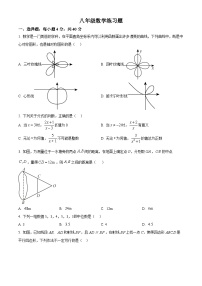 山东省泰安市岱岳区2024-2025学年八年级上学期1月期末试卷数学试题（原卷版+解析版）