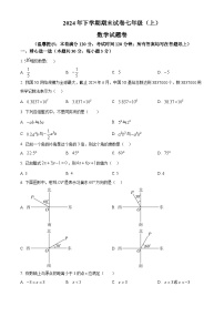 浙江省金华市东阳市2024-2025学年七年级上学期1月期末数学试题（原卷版+解析版）