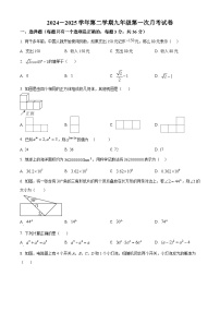 河北省廊坊市第四中学2024-2025学年九年级下学期3月月考数学试题（原卷版+解析版）