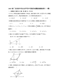 2025届广东省初中学业水平考中考数学试模拟检测试卷（一模）（附答案）