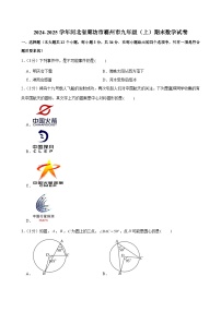 2024-2025学年河北省廊坊市霸州市九年级（上）期末数学试卷 (含解析)