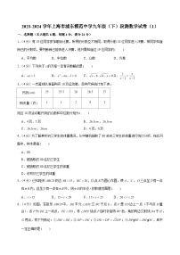 2023-2024学年上海市浦东模范中学九年级（下）段测数学试卷 (含解析)