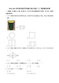 2024-2025学年贵州省毕节市威宁县九年级（上）期末数学试卷（含详解）