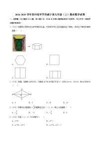 2024-2025学年贵州省毕节市威宁县九年级（上）期末数学试卷（含详解）