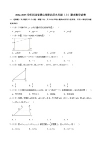 2024-2025学年河北省唐山市路北区九年级（上）期末数学试卷（含详解）