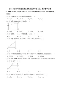 2024-2025学年河北省唐山市路北区九年级（上）期末数学试卷（含详解）