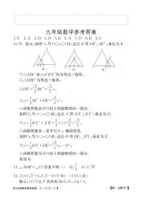 安徽巢湖市2025年九年级中考数学一模试题+答案