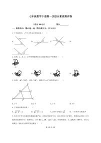 河南省周口市第一初级中学2024-2025学年七年级下学期3月月考数学试卷（无答案）