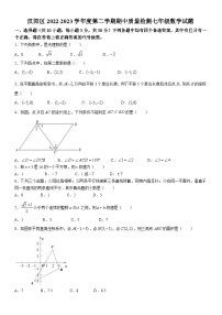 汉阳区2022-2023学年下学期期中考试七年级数学试题（解析版）
