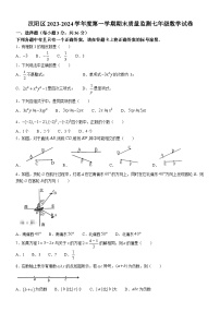 汉阳区2023-2024学年度上学期期末七年级数学试卷（word版含答案）
