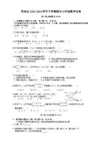 武昌区2023-2024学年下学期期末七年级数学试卷（word版含答案）