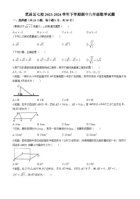 武昌区七校2023-2024学年下学期期中八年级数学试题（word版含答案）