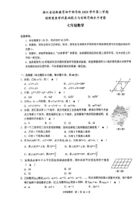 浙江创新教育初中协作体2024-2025学年七年级下学期3月创新素养与创新思维水平考察数学试题+答案