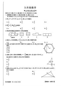陕西省安康市平利县魏汝中学2024-2025学年九年级下学期第一次月考数学试题