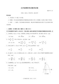 【2025年上海九年级数学一模】2025届上海市黄浦区九年级数学一模试卷与答案
