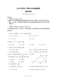 【2025年上海九年级数学一模】2025届上海市嘉定区九年级数学一模试卷与答案