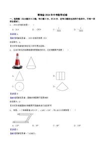 青海省2024年中考数学试卷含真题解析