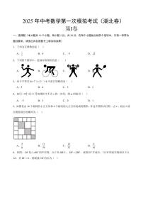 2025中考数学一模试卷（湖北卷）（考试版）