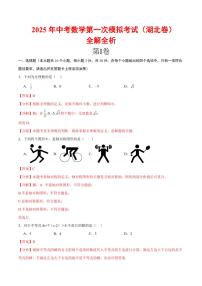 2025中考数学一模试卷（湖北卷）（全解全析)