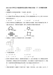 2024-2025学年辽宁省沈阳市东北育才学校九年级（下）开学数学试卷