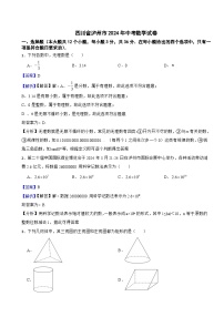 四川省泸州市2024年中考数学试卷附真题解析