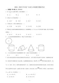 广东汕头潮阳区2024—2025学年九年级下学期3月数学模拟卷+答案