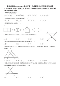 湖北省武汉市东湖高新区2023-2024学年上学期期中八年级数学试题（word版含答案）