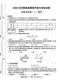 2025年河南平顶山市部分学校九年级中考一模数学试题+答案